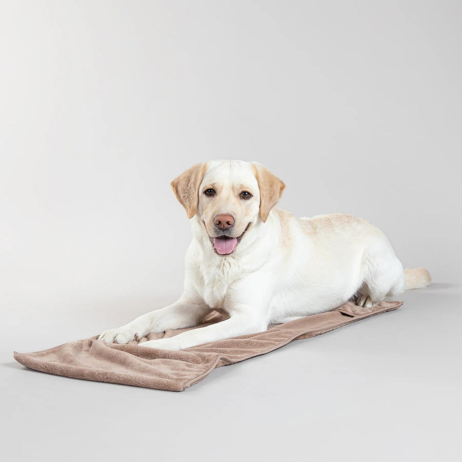 PAIKKA Drying Large Towel for Dogs