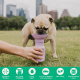 Springer Travel Dog Bottle | AKC Shop