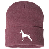 AKC-Beanie-doberman-