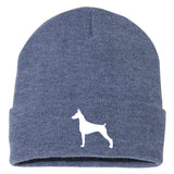 AKC-Beanie-doberman-hth-