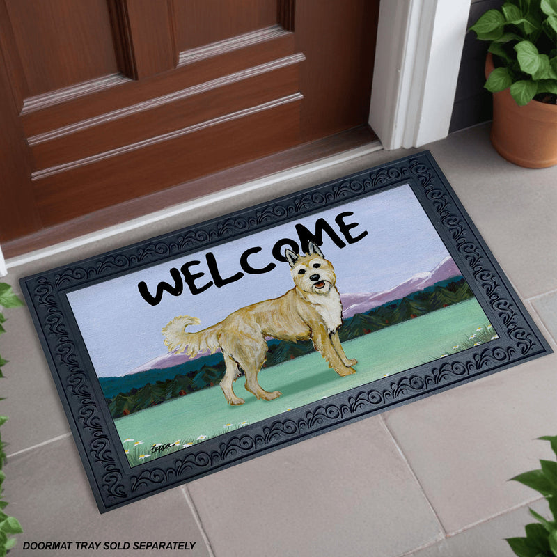 Berger Picard Welcome Mat