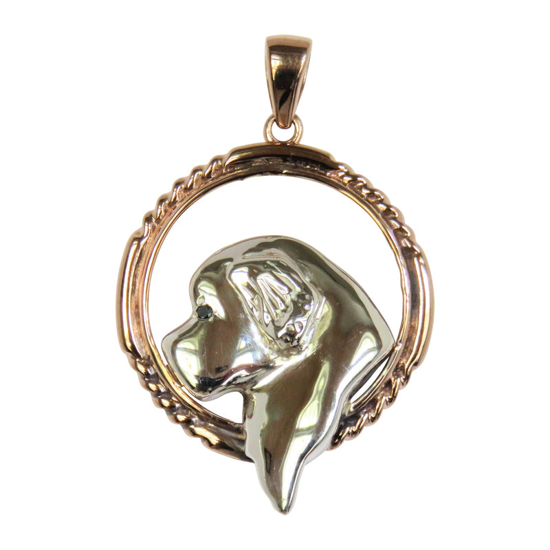 Newfoundland in 14K Gold with Sterling Silver Braided Circle Pendant