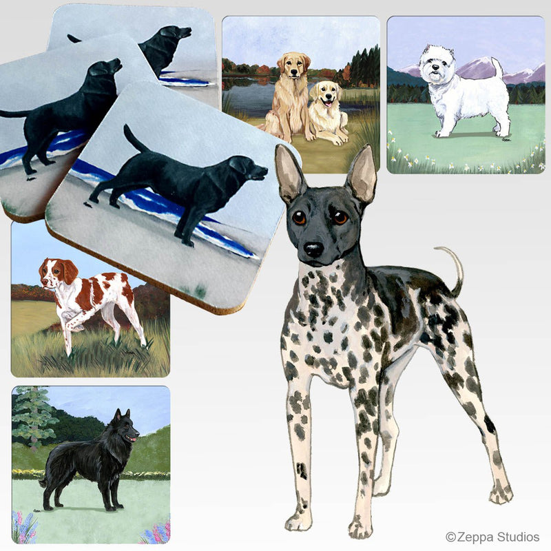 American Hairless Terrier Scenic Square Coaster