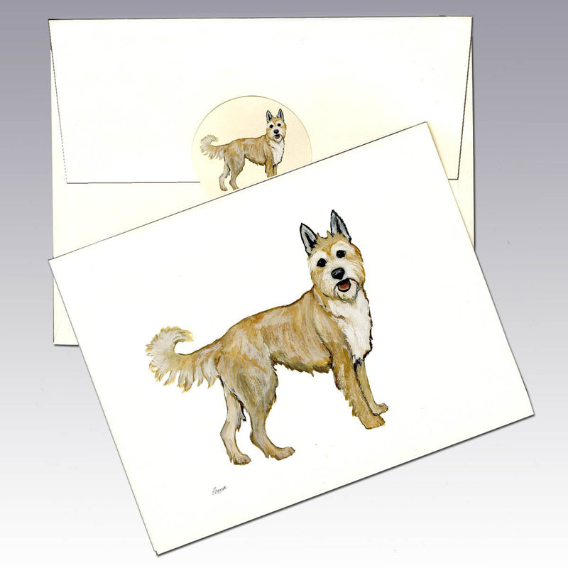 Berger Picard Note Cards