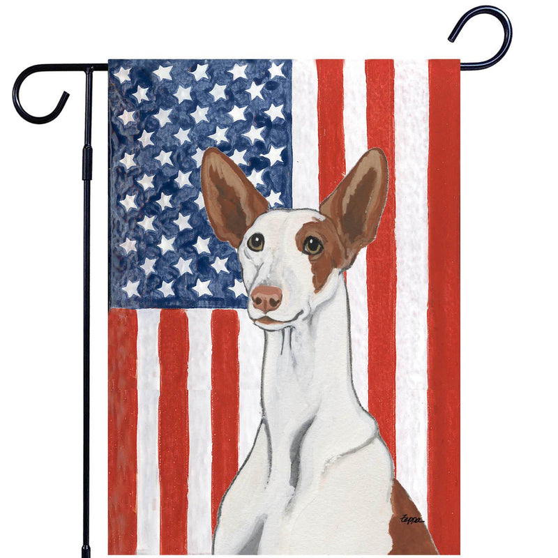 Ibizan Hound Americana Garden Flag