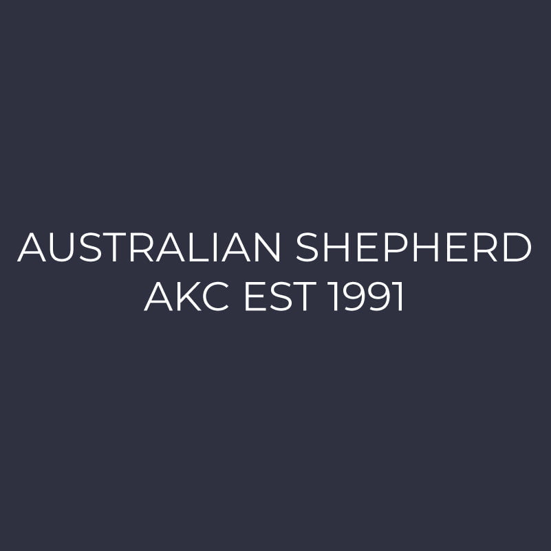 Australian Shepherd Embroidered AKC Women's Polo