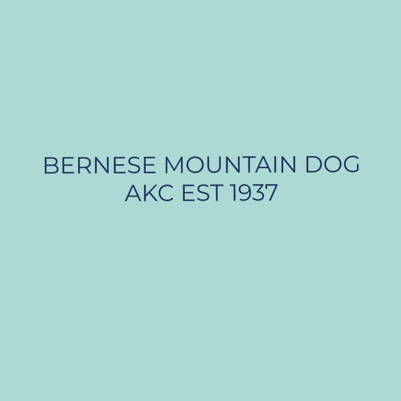 Bernese Mountain Dog Embroidered AKC Quarter Zip