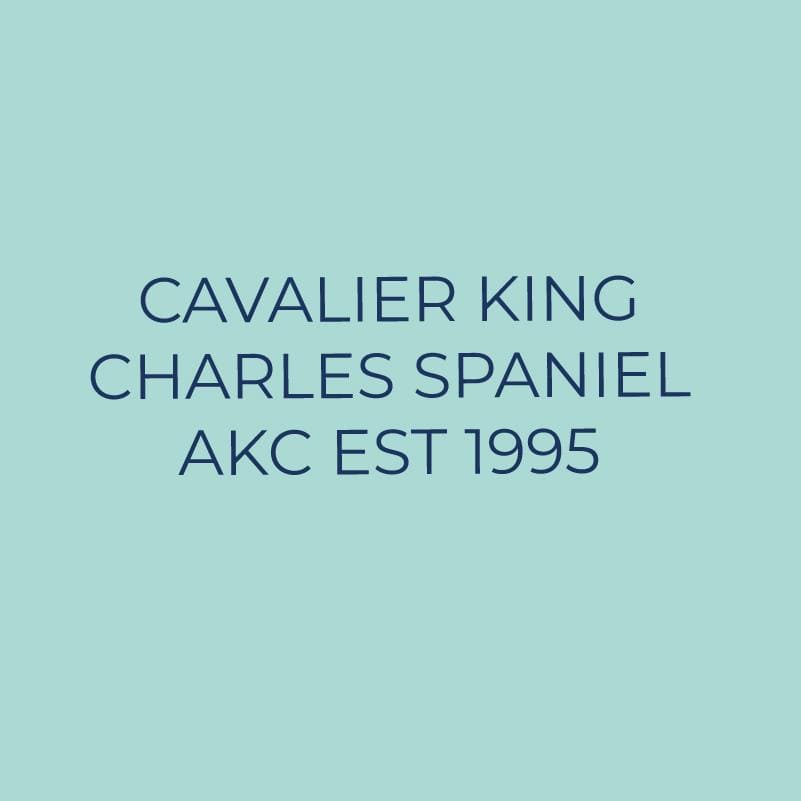 Cavalier King Charles Spaniel Embroidered AKC Quarter Zip