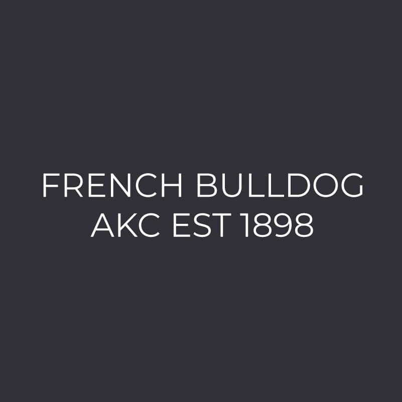 French Bulldog Embroidered AKC Polo