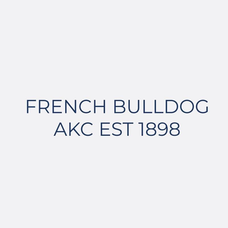 French Bulldog Embroidered AKC Women's Polo