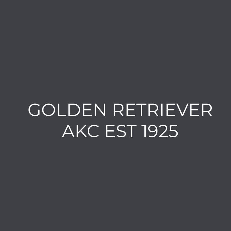 Golden Retriever Embroidered AKC Women's Polo