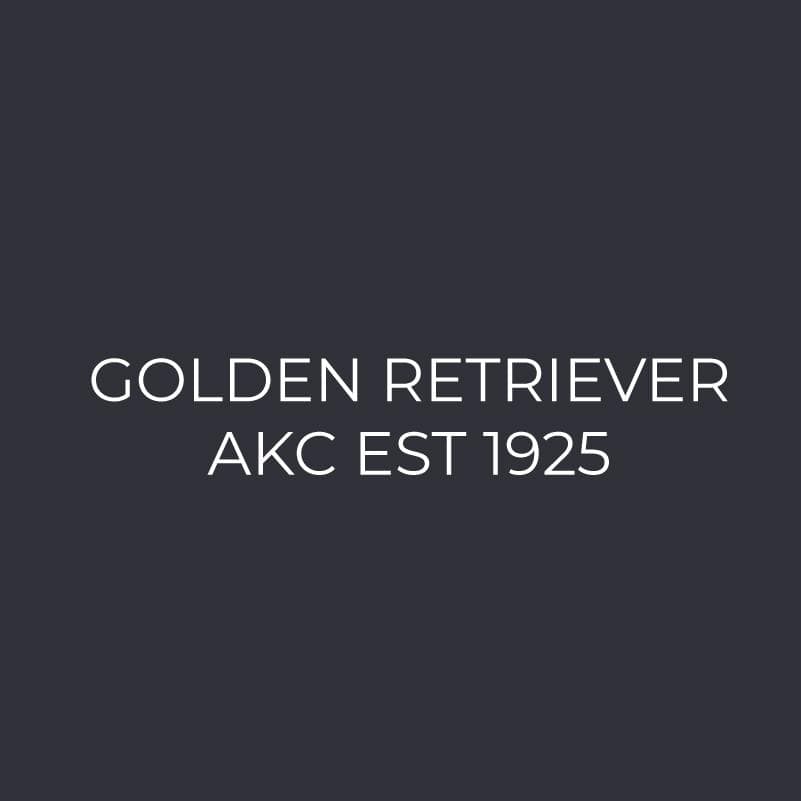 Golden Retriever Embroidered AKC Polo