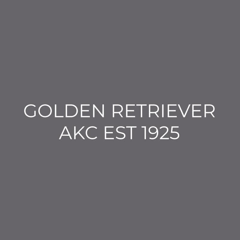 Golden Retriever Embroidered AKC Polo