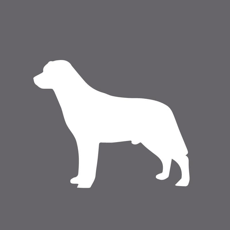 Labrador Retriever Embroidered AKC Polo