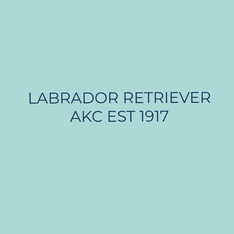 Labrador Retriever- Embroidered AKC Quarter Zip