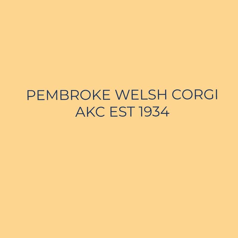 Pembroke Welsh Corgi Embroidered AKC Quarter Zip