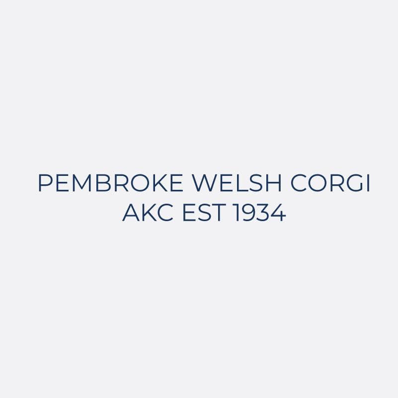 Pembroke Welsh Corgi Embroidered AKC Women's Polo