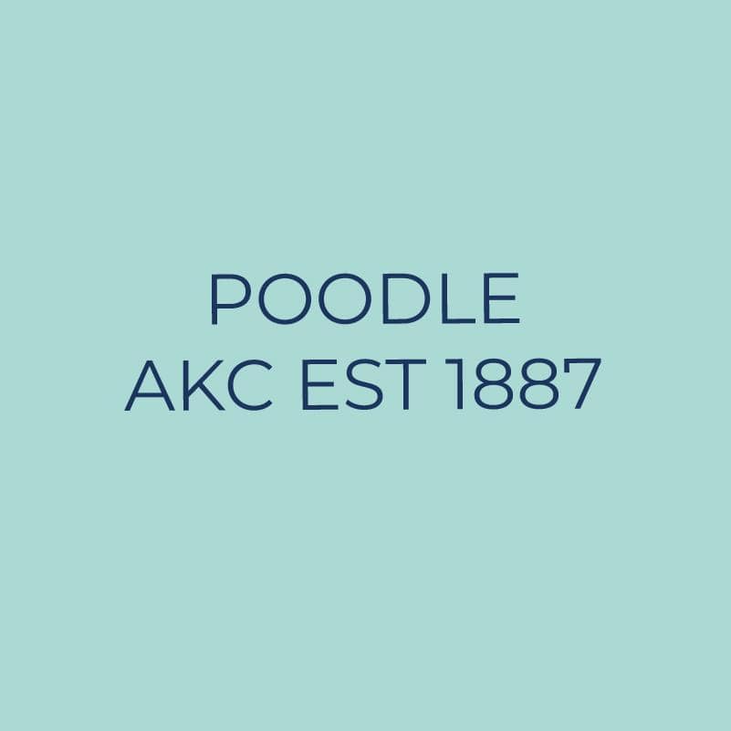 Poodle Embroidered AKC Quarter Zip