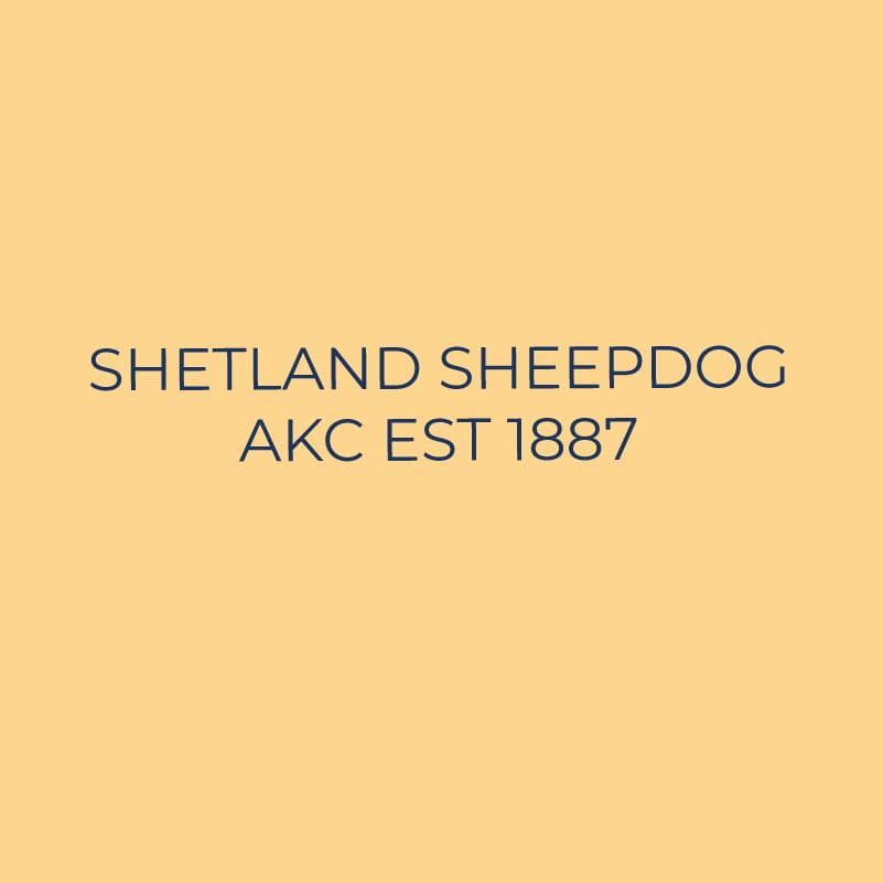 Shetland Sheepdog Embroidered AKC Quarter Zip