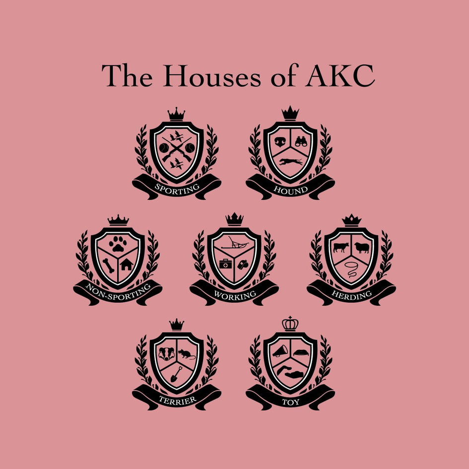 Houses of AKC - V-Neck T-Shirt