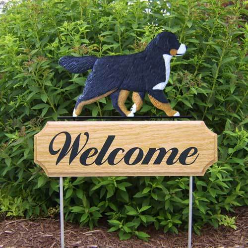 Michael Park Dog In Gait Welcome Stake Bernese Mountain Dog