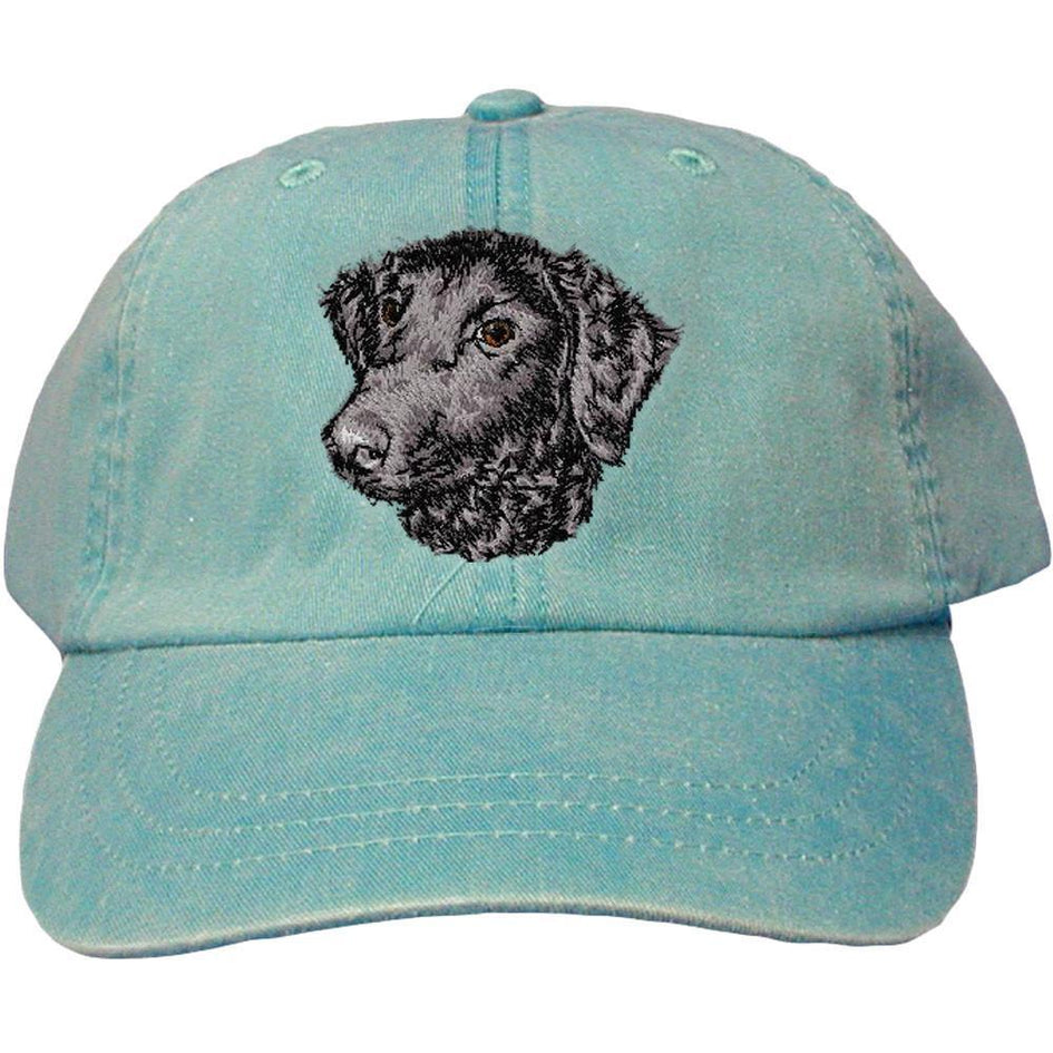 Embroidered Baseball Caps Turquoise  Curly Coated Retriever D137