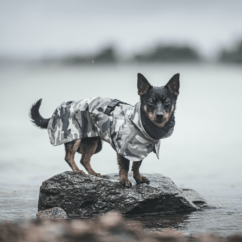 PAIKKA Dog Recovery Raincoat