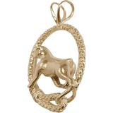 Rottweiler-Leash-ST64-14KY-