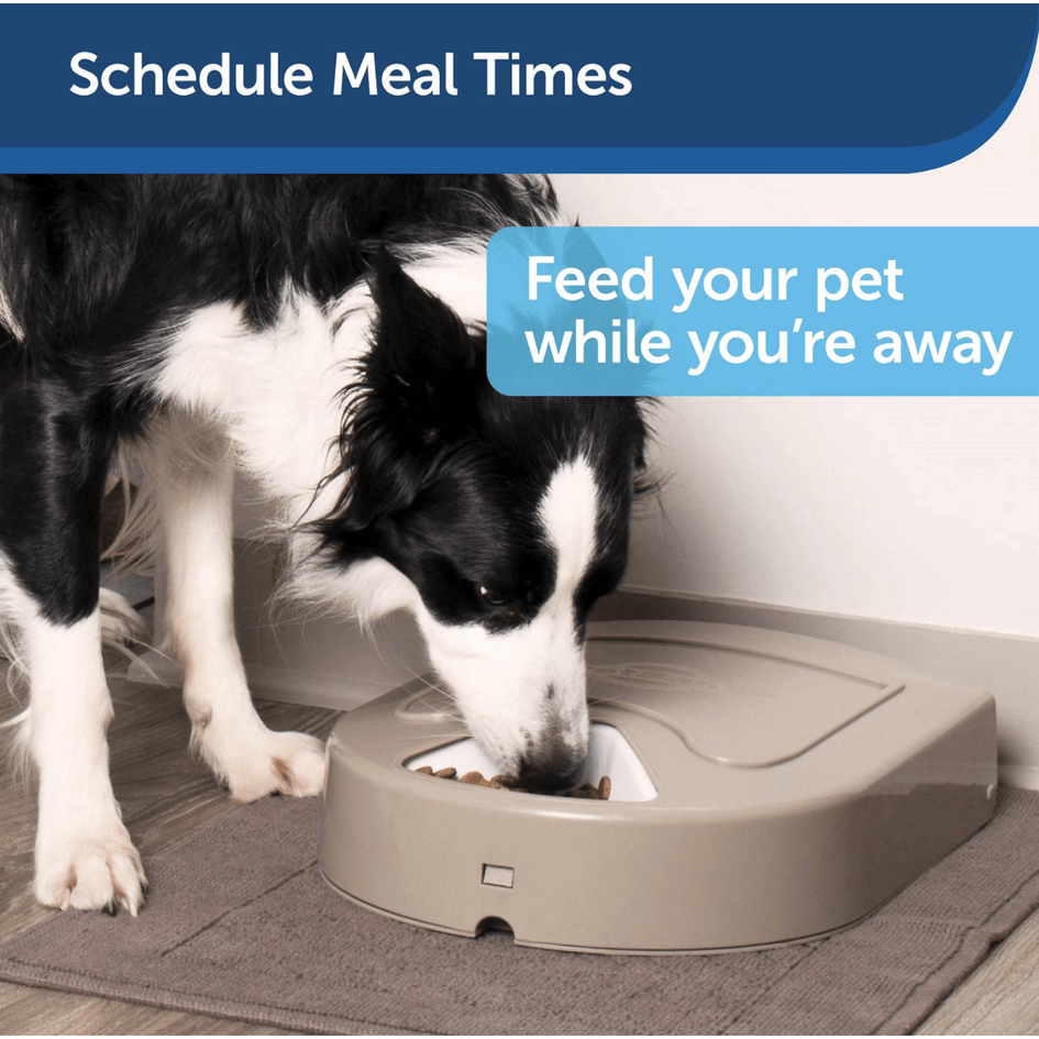 PetSafe Eatwell 5-Meal Automatic Pet Feeder