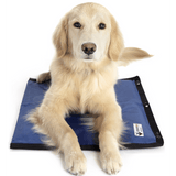 Akc dog cooling mat hotsell