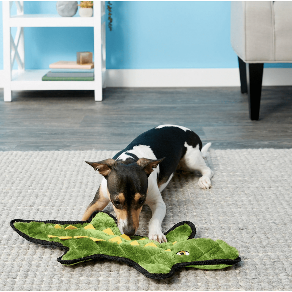 Frisco Flat Plush Squeaking Alligator Dog Toy, Medium