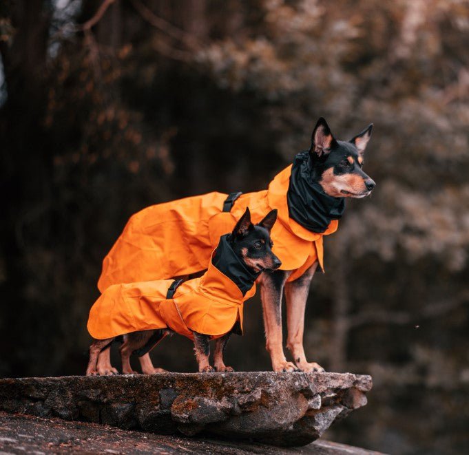 PAIKKA Dog Recovery Raincoat