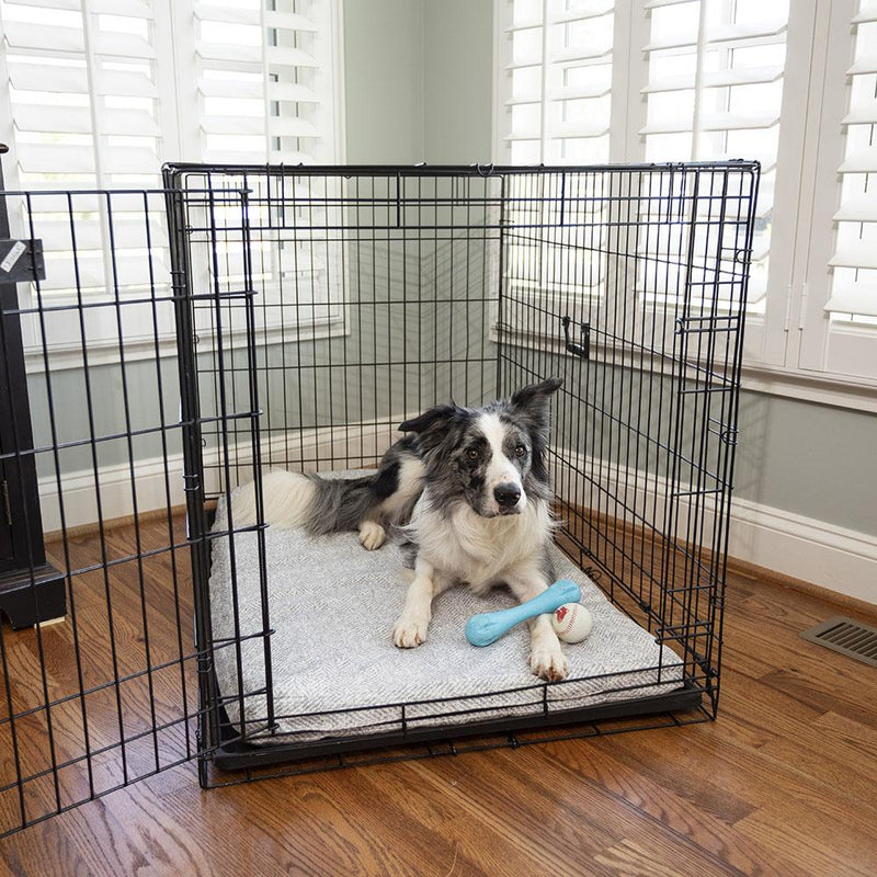 Washable Crate Pad in Show Dog Fabrics