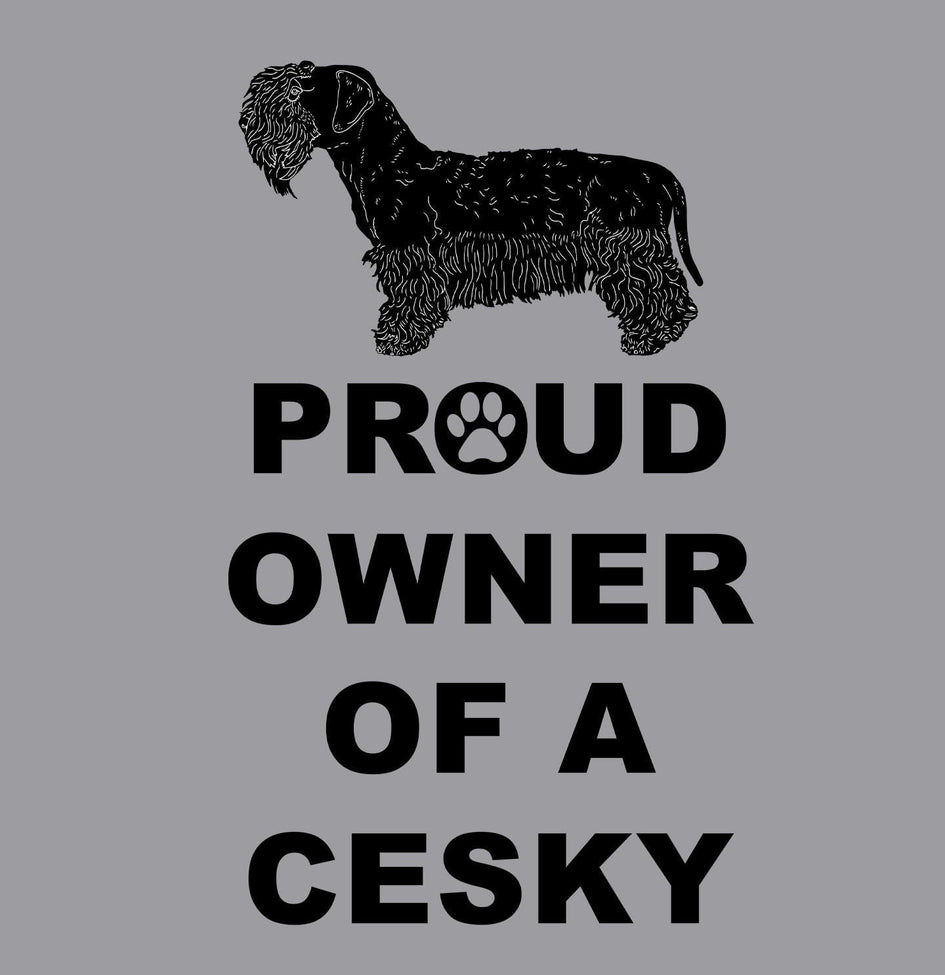 Cesky Terrier Proud Owner - Women's V-Neck T-Shirt