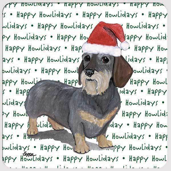 Dachshund, Wirehaired