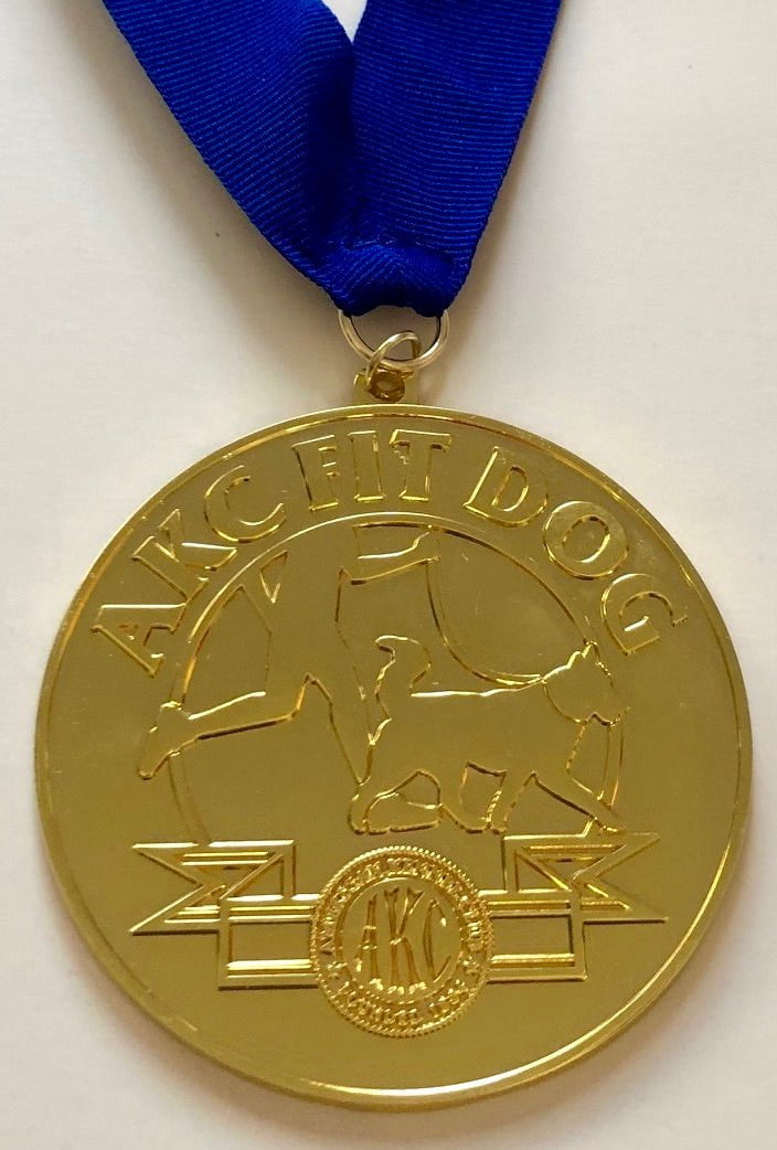 3" Fit Dog Medallion - Gold