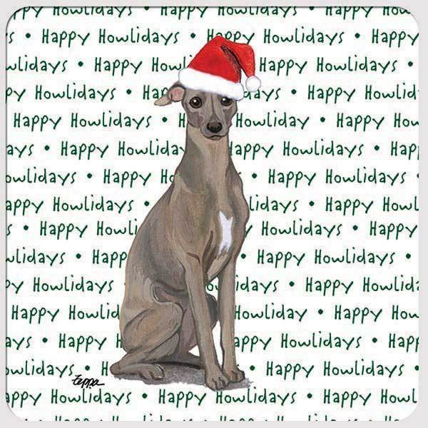 Italian Greyhound