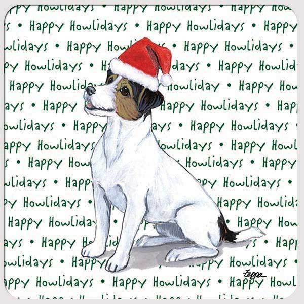 Russell Terrier, Tri Color