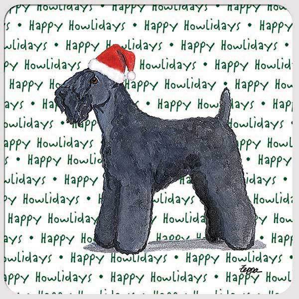 Kerry Blue Terrier