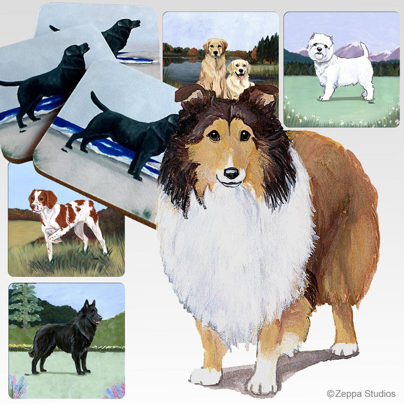 Shetland Sheepdog Scenic Square Coaster