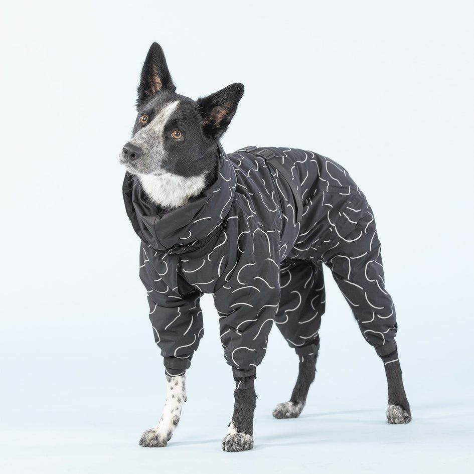 PAIKKA Dog Winter Suit