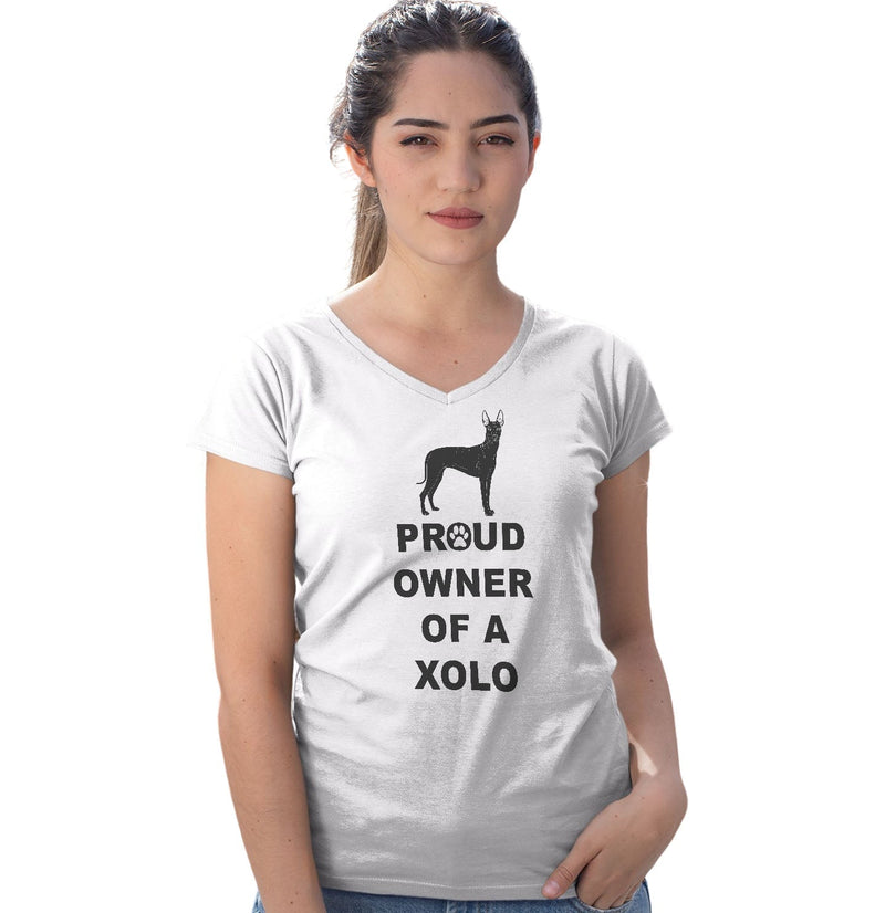 Xoloitzcuintli Proud Owner - Women's V-Neck T-Shirt