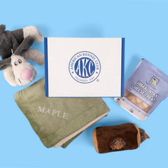 Dog Boxes