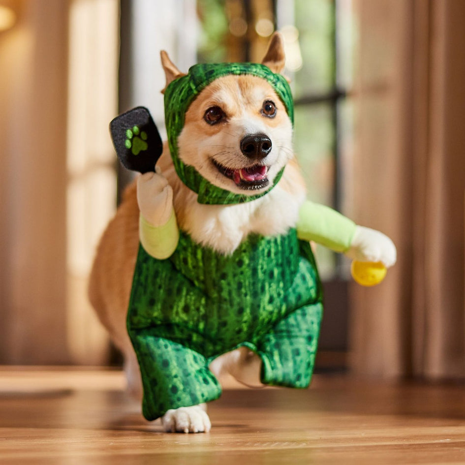 Frisco Front Walking "Pickle" Ball with Adjustable Inseam Dog Costume (Patent Pending)