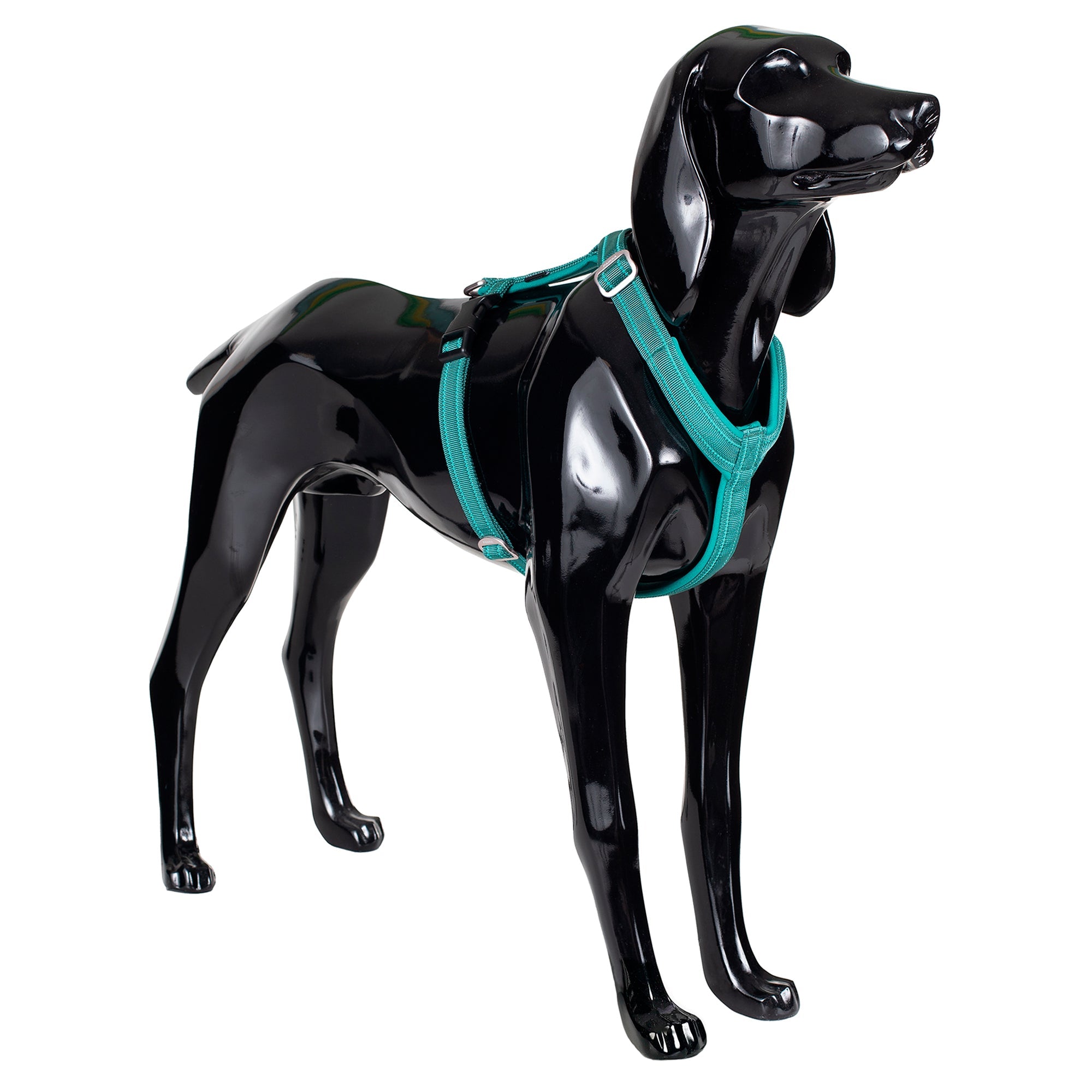 Akc 2024 dog harness