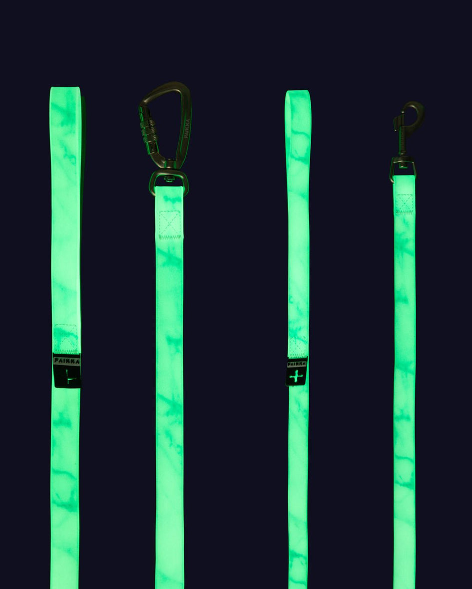 PAIKKA Glow Leash