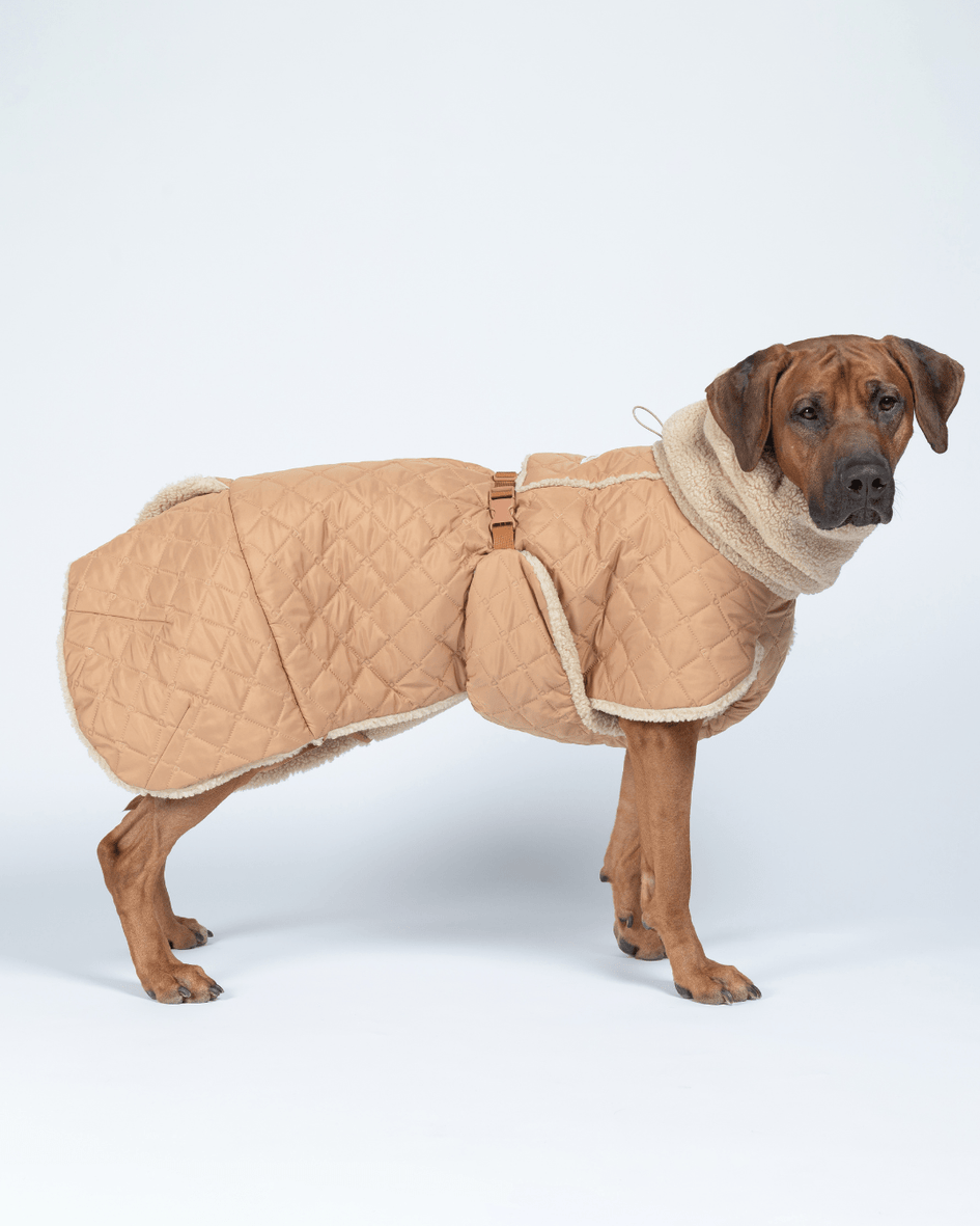 Paikka Dog Quilted Sherpa Jacket