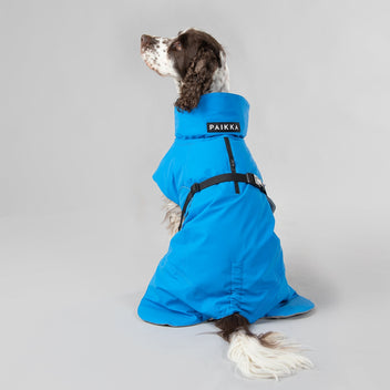 PAIKKA Dog Reflective Visibility Winter Jacket | AKC Shop