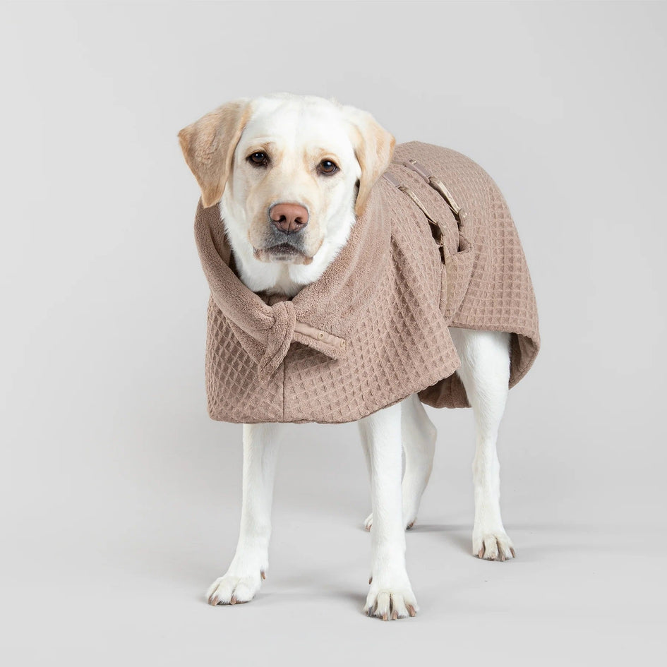 PAIKKA Drying Coat Spa for Dogs