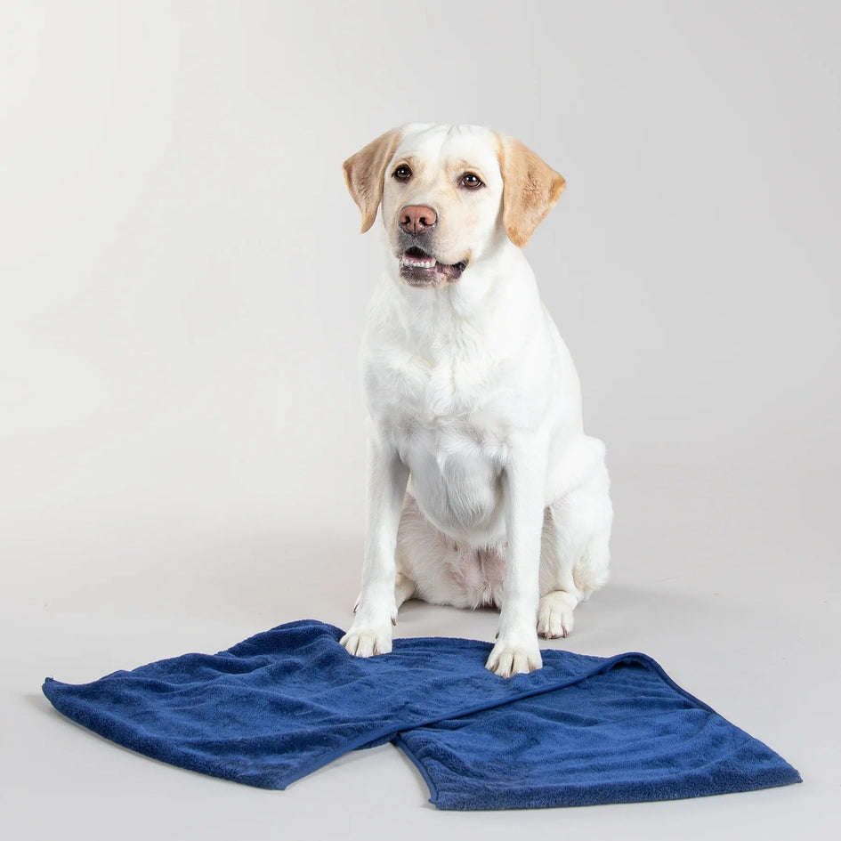 PAIKKA Drying Large Towel for Dogs